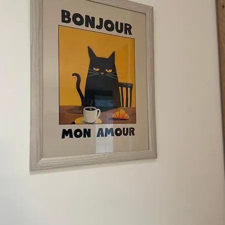 Posh Cat *