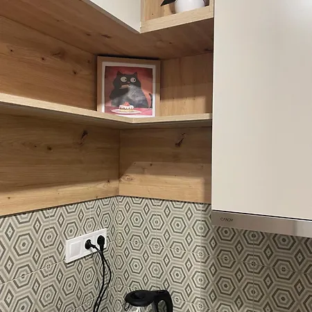 Apartment Posh Cat